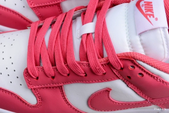 DD1503-111 Low Nike Pink” SB “Archeo Dunk 0131